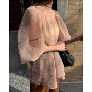 クラネ(CLANE)のクラネ　CLANE BALLON SHEER PUFF TOPS(シャツ/ブラウス(長袖/七分))