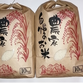 頑張ろ福島　令和４年度産籾保管米極上会津コシヒカリ20キロ(米/穀物)
