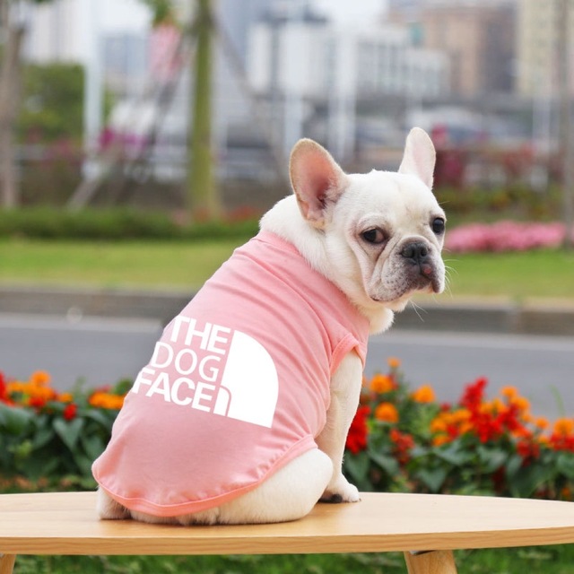 犬用Tシャツ 犬服　S ピンク その他のペット用品(犬)の商品写真