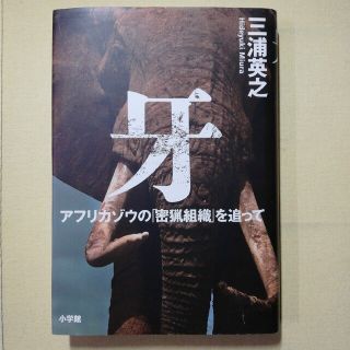 牙 アフリカゾウの「密猟組織」を追って(文学/小説)