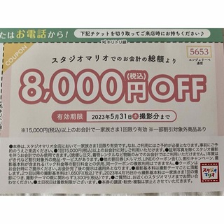 スタジオマリオ　8000 円　割引券(その他)