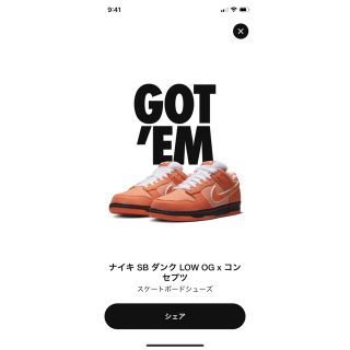 ナイキ(NIKE)の◾︎新品未使用◾︎NIKE DUNK SB LOW x CONCEPTS◾︎(スニーカー)