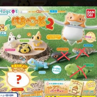 はちゅこっと2❤️５つセット(爬虫類/両生類用品)