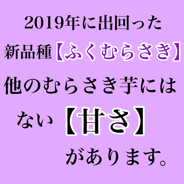 新品種‼️高糖度むらさき芋【ふくむらさき】箱込み1キロ超　送料無料 食品/飲料/酒の食品(野菜)の商品写真