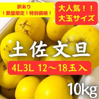 1訳あり 高知特産 露地 4L3Lサイズ 土佐文旦 文旦 約10kg(フルーツ)