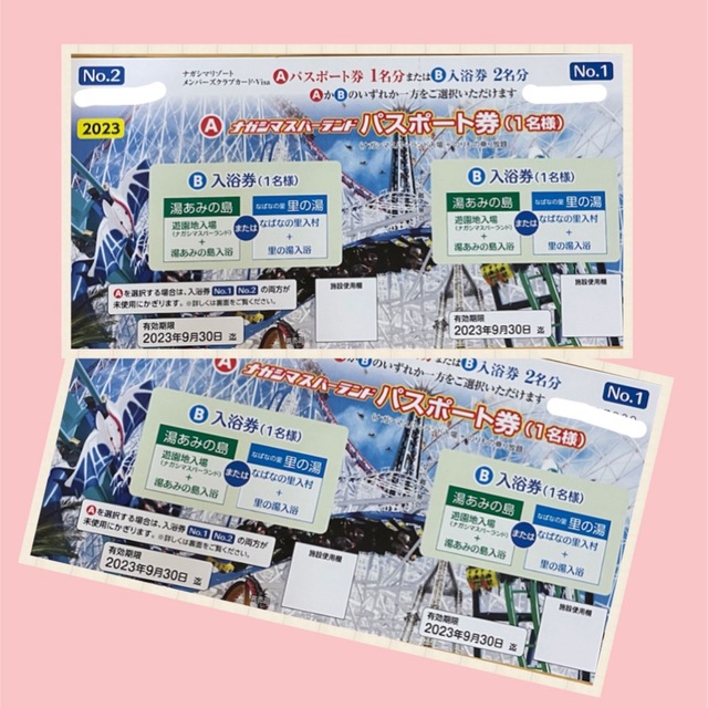 ナガシマスパーランド パスポート2枚セット | settannimacchineagricole.it