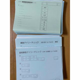 サピックス6年 平常+土特+SS+DCテスト+基礎力定着+αプリント+小テスト