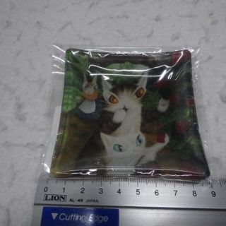 新品　小皿　プレート　ブラックベリー　バニラ　小物入　わちふぃーるど　ダヤン　猫(食器)