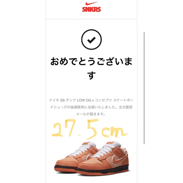 NIKE(ナイキ)のコンセプツ × ナイキ SB ダンク ロー SP オレンジロブスター" 27.5 メンズの靴/シューズ(スニーカー)の商品写真