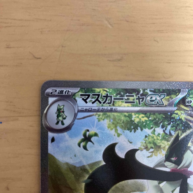 ポケモンカード マスカーニャex sar トレーディングカード ポケモンカード マスカーニャex sar トレーディングカード