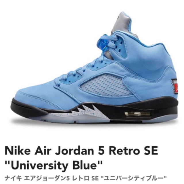 Nike Air Jordan 5 Retro SE