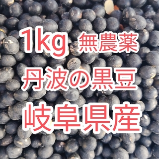 訳あり　無農薬　丹波黒大豆　1kg 黒豆(野菜)