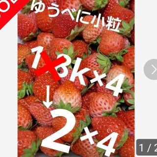 ❤️箱いっぱい濃くて甘い❤️ゆうべにイチゴ加工用小粒2k×4箱　11000円(フルーツ)