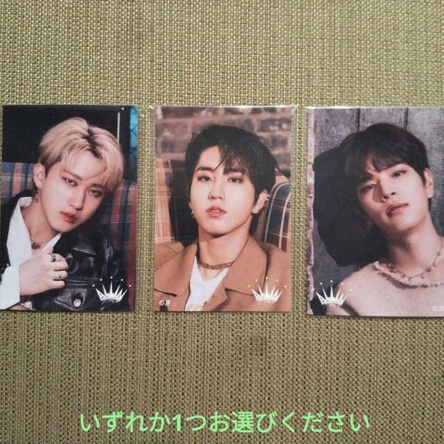 StrayKids Wolfchan うちわケース バンチャン | jurnaluljuridic.md