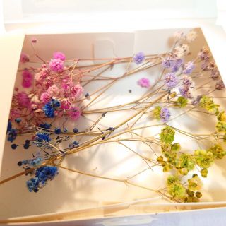 かすみ草 ドライフラワー ハンドメイド 素材 レジン ハーバリウム(ドライフラワー)