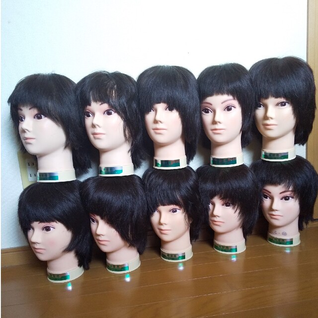 カットウィッグ 10体 skac.hr