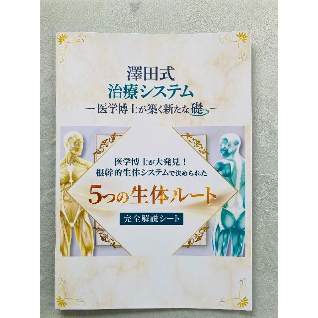 【今日の超目玉】 【美品】澤田大筰の澤田式治療システム DVD フルセット 美品】澤田大筰の澤田式治療システム DVD フルセット - www