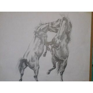 原画　送料無料　「闘馬」　鉛筆画 原画 送料無料 「闘馬」 鉛筆画の通販 by 崎間タロピョン's shop