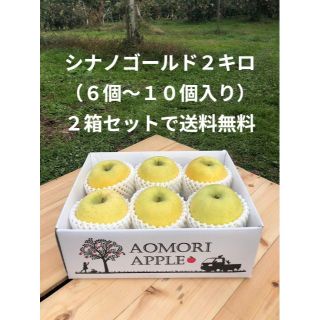 ※送料込み※２Kg（６個から１０個入り）２箱セット　ハネ『シナノゴールド』(フルーツ)