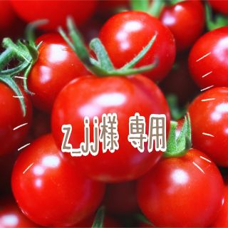 ミニトマト　４ｋｇ(野菜)