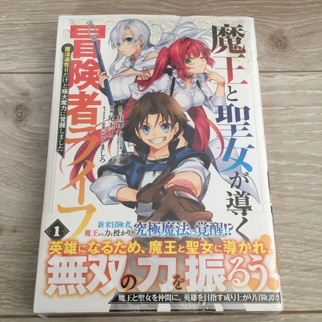 魔王と聖女が導く冒険者ライフ-魔法適性0だけど極大魔力に覚醒しま