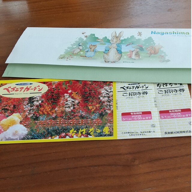なばなの里チケット5枚 チケットの施設利用券(遊園地/テーマパーク)の商品写真
