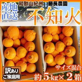 和歌山県産　不知火　サイズ混合　約5㎏×2箱　訳ありご家庭用(フルーツ)