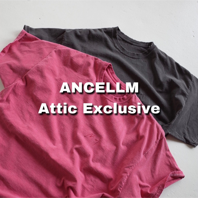 ANCELLM EMBROIDERY T-SHIRT EX 優先配送 www.gold-and-wood.com