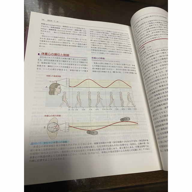 筋骨格系のキネシオロジー