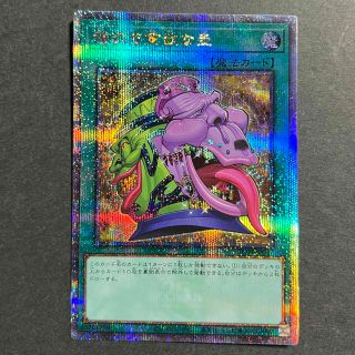 コナミ(KONAMI)の強欲で貧欲な壺 25th 遊戯王(シングルカード)