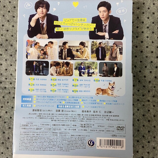 消えた初恋 DVD〈4枚組〉 最適な価格 4800円引き sandorobotics.com