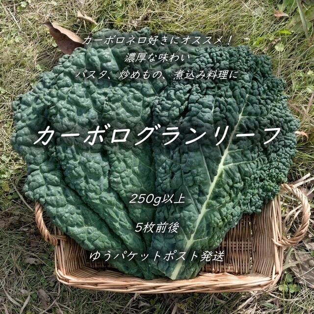 ログラン