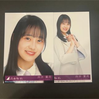 ノギザカフォーティーシックス(乃木坂46)の乃木坂46 生写真 向井葉月(女性アイドル)