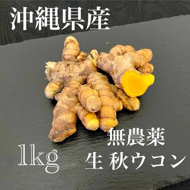 沖縄県産 無農薬 生　秋ウコン1kg なくなり次第終了 食品/飲料/酒の食品(野菜)の商品写真