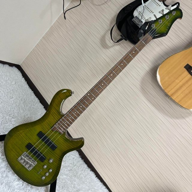 4826】 clive F&P300 24フレット仕様 green 売れ筋がひ! jakofa.hu