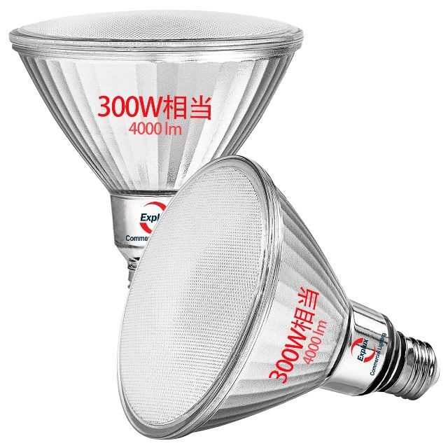 【色: 昼白色】Explux 超高輝度LEDハイビーム電球 300W相当・驚き輝