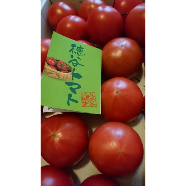 高知県産 徳谷トマト 送料込み 4k  (家庭用) フルーツトマト