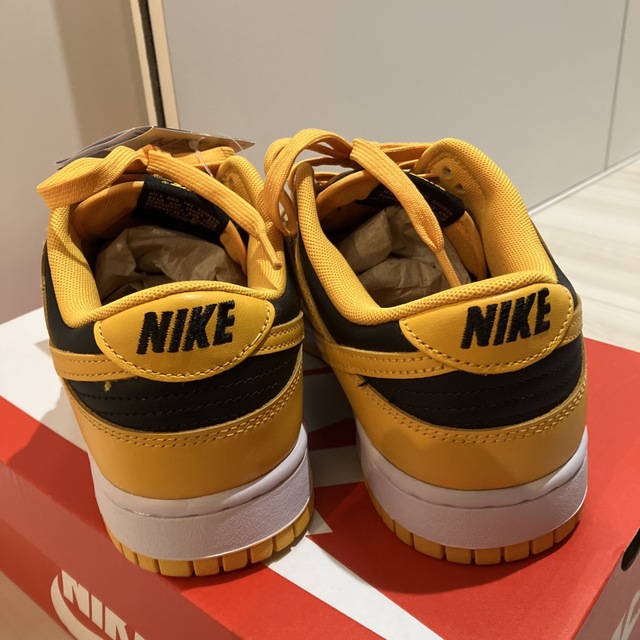 NIKE(ナイキ)のNIKE DUNK LOW RETRO IOWA  メンズの靴/シューズ(スニーカー)の商品写真