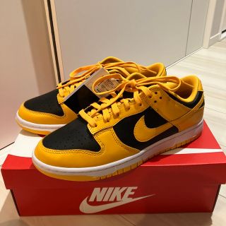 ナイキ(NIKE)のNIKE DUNK LOW RETRO IOWA (スニーカー)