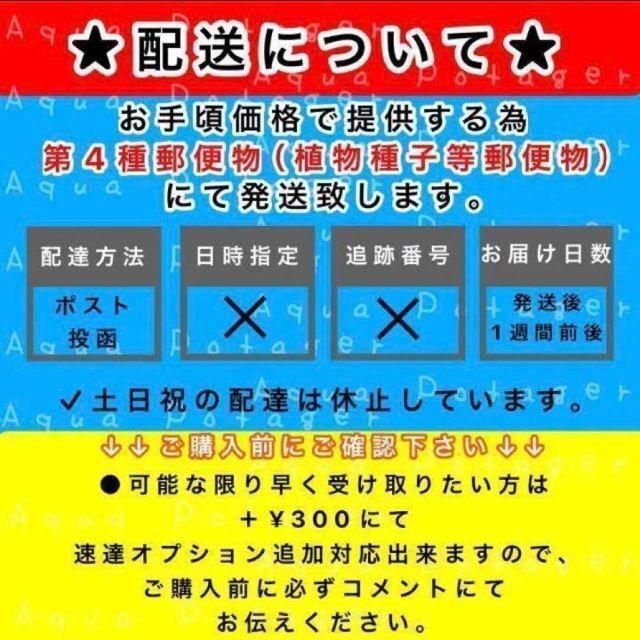 宇宙芋 エアーポテト  種芋 零余子 むかご 苗 約100ｇ分を2個 ハンドメイドのフラワー/ガーデン(その他)の商品写真