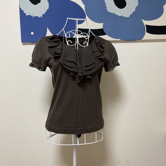 INED(イネド)のブラウス レディースのトップス(シャツ/ブラウス(半袖/袖なし))の商品写真