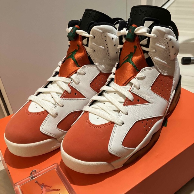 NIKE(ナイキ)のnike air jordan 6 retro メンズの靴/シューズ(スニーカー)の商品写真