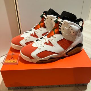 ナイキ(NIKE)のnike air jordan 6 retro(スニーカー)