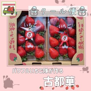 奈良県産〖古都華〗1箱2パック(フルーツ)