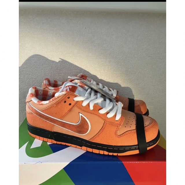 NIKE(ナイキ)のdunk low ダンクロー  ロブスター　dunk sb 26.5cm メンズの靴/シューズ(スニーカー)の商品写真