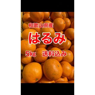 和歌山県産　はるみ　5㎏　家庭用　送料込み(フルーツ)