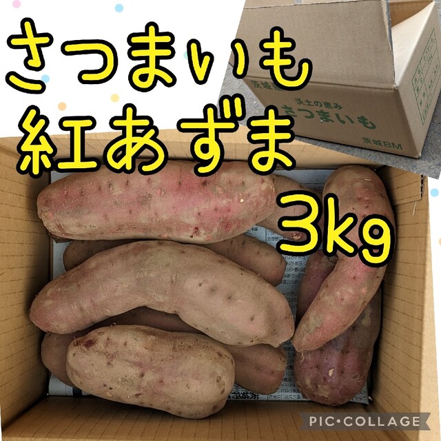 SEIKOさま専用　4kgさつまいも　紅あずま　B級品   3kg 食品/飲料/酒の食品(野菜)の商品写真