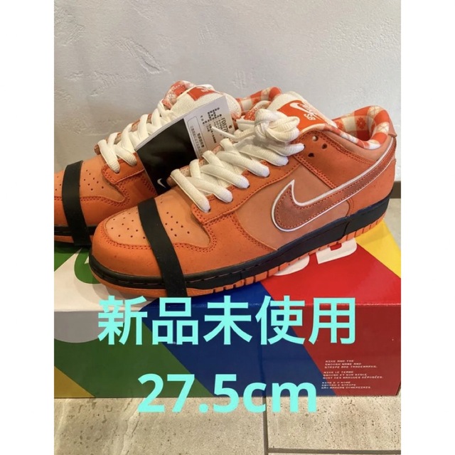 Concepts × Nike SB Dunk Low SP 27.5cm