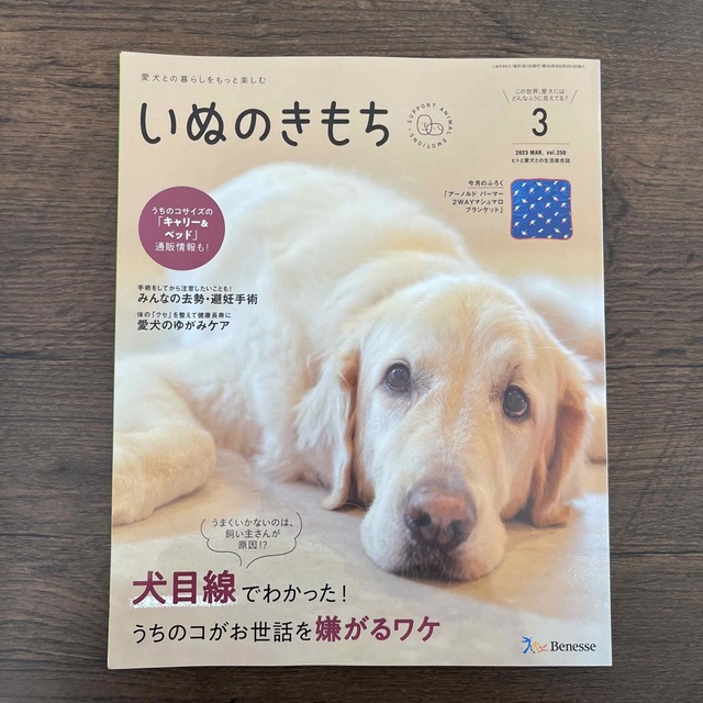 いぬのきもち　 その他のペット用品(犬)の商品写真