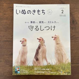 いぬのきもち(犬)